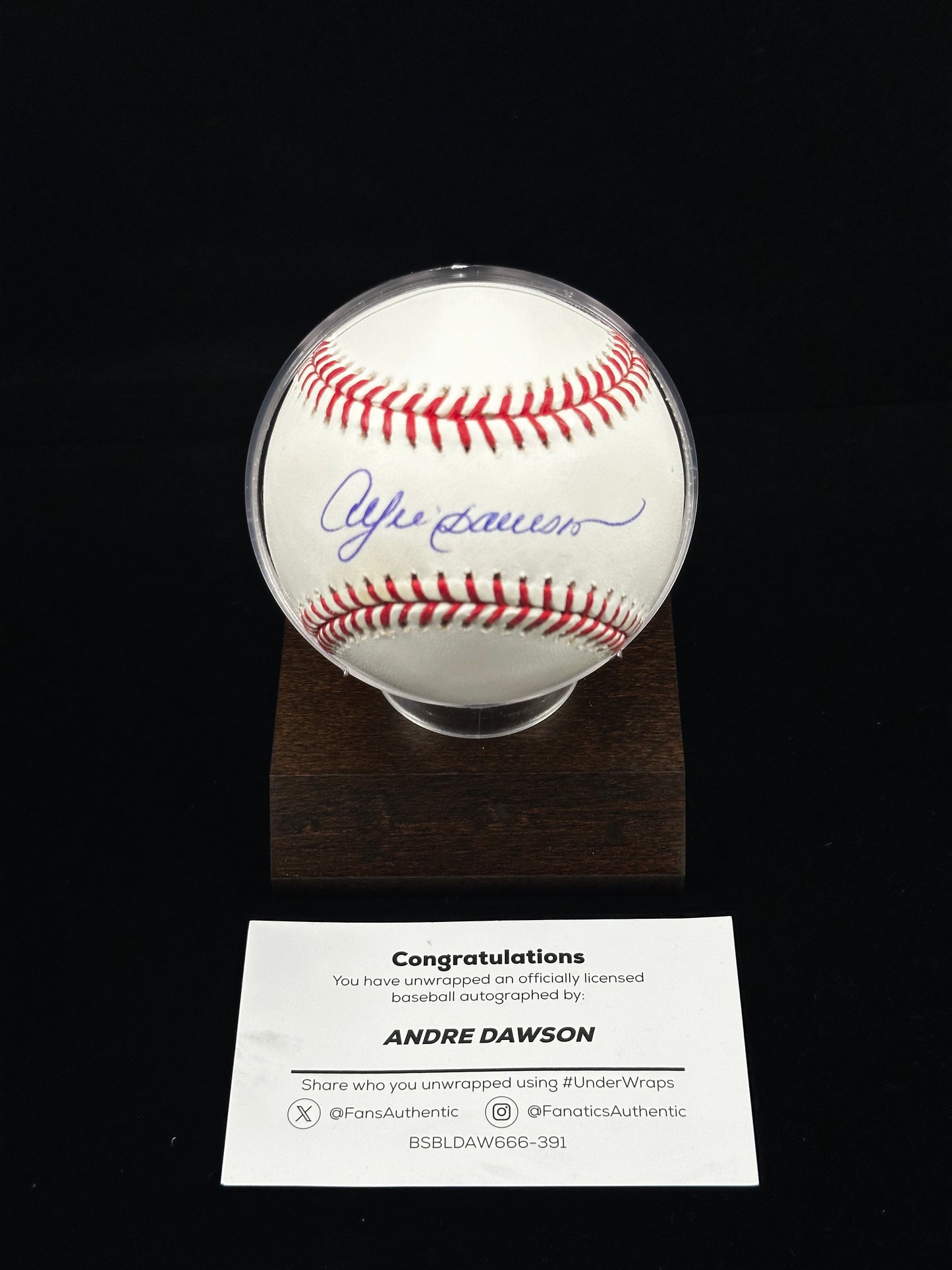 Andre Dawson Signed Rawlings MLB Baseball Fanatics Authenticated