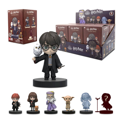 Wizarding World Harry Potter Classic Series Blind Box