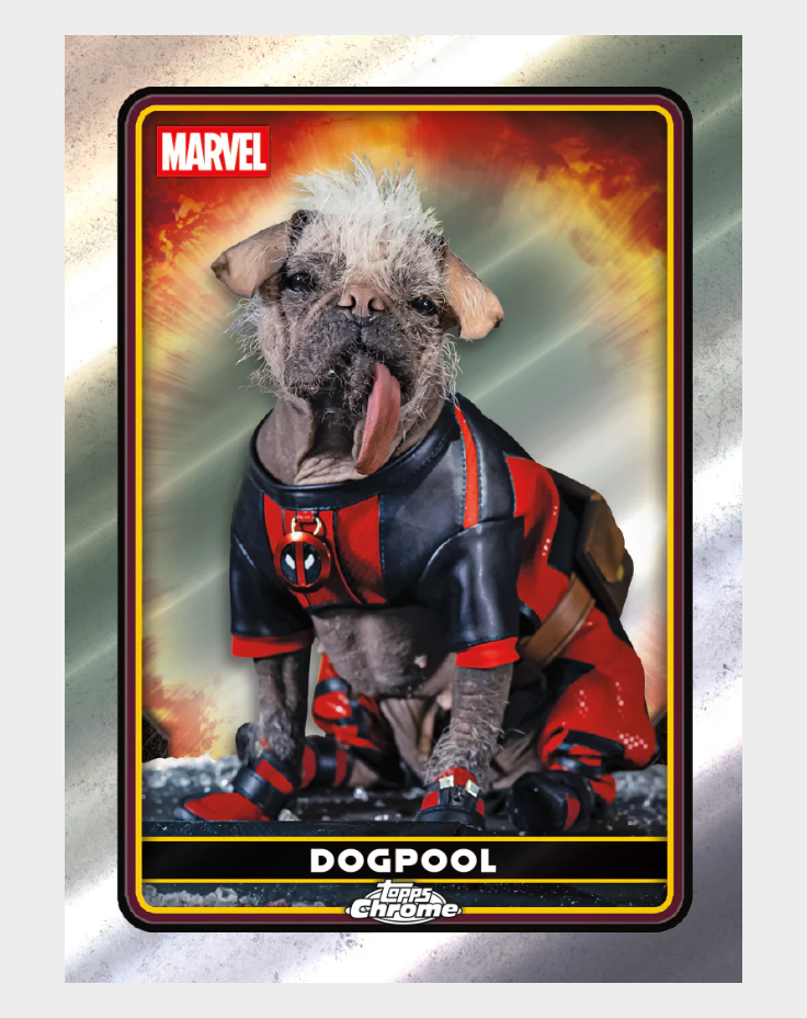 Dog in a Deadpool costume on a Marvel-themed card with a metallic background